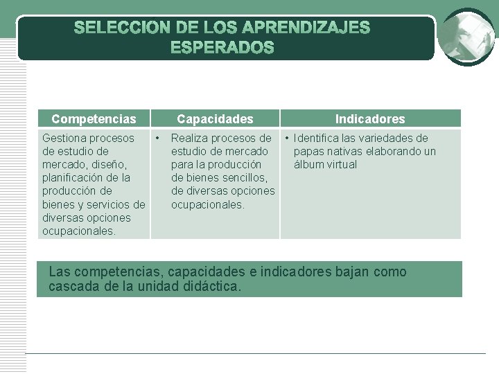 SELECCIÓN DE LOS APRENDIZAJES ESPERADOS Competencias Gestiona procesos • de estudio de mercado, diseño,