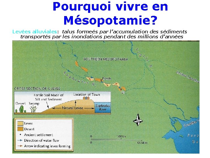 Pourquoi vivre en Mésopotamie? Levées alluviales: talus formeés par l’accumulation des sédiments transportés par