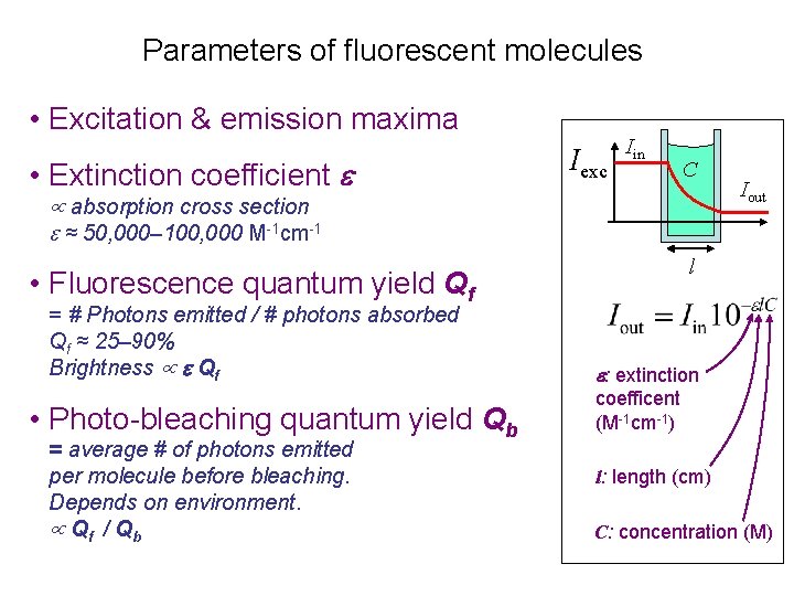 Parameters of fluorescent molecules • Excitation & emission maxima • Extinction coefficient Iexc Iin