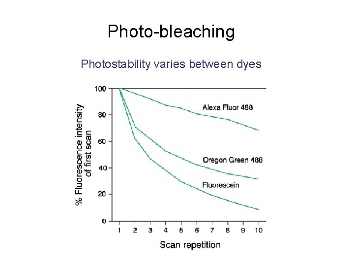Photo-bleaching Photostability varies between dyes 