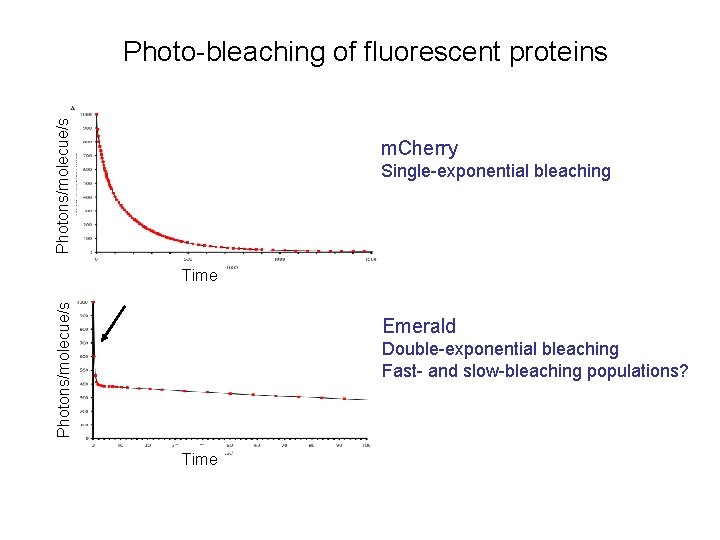 Photons/molecue/s Photo-bleaching of fluorescent proteins m. Cherry Single-exponential bleaching Photons/molecue/s Time Emerald Double-exponential bleaching