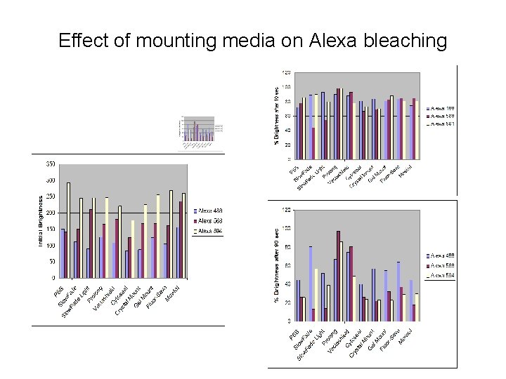 Effect of mounting media on Alexa bleaching 