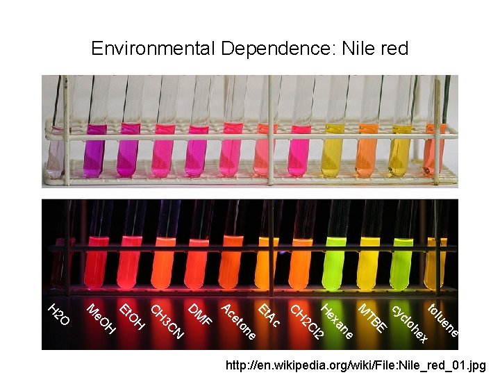 Environmental Dependence: Nile red e en lu to x he clo cy E TB