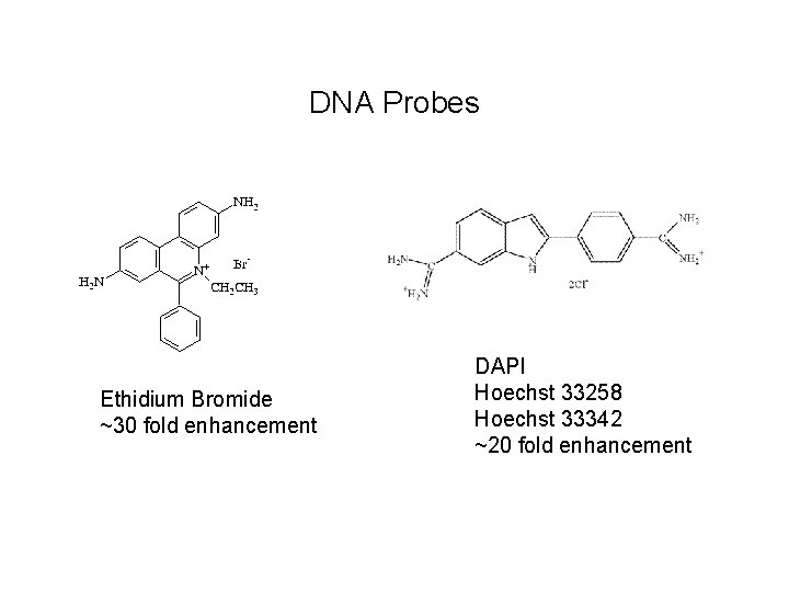 Fluorescence Microscopy Small Molecule Probes Kurt Thorn NIC