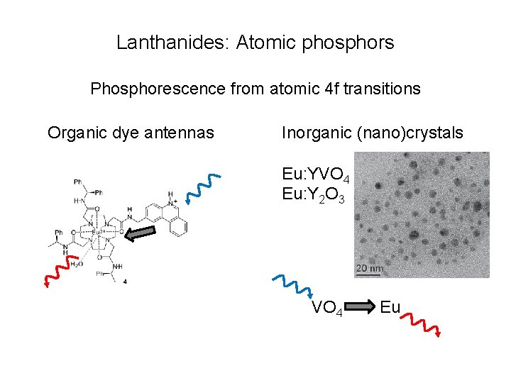 Lanthanides: Atomic phosphors Phosphorescence from atomic 4 f transitions Organic dye antennas Inorganic (nano)crystals