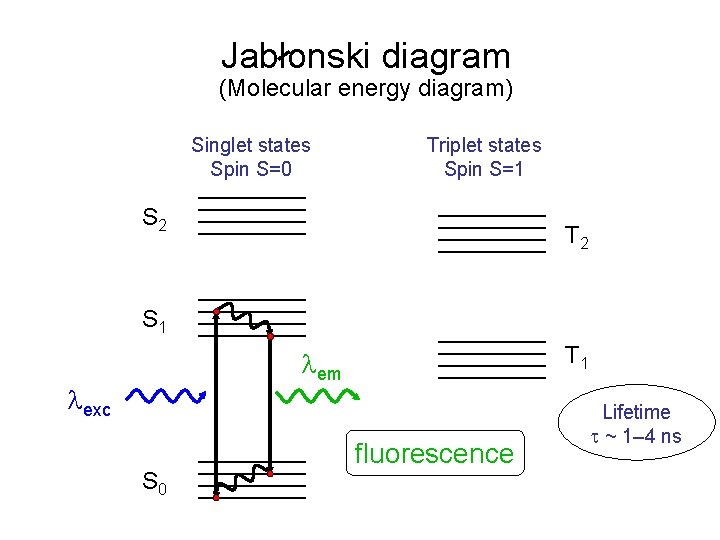 Jablonski diagram (Molecular energy diagram) Singlet states Spin S=0 Triplet states Spin S=1 S