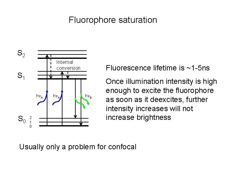 Fluorophore saturation S 2 Internal conversion Fluorescence lifetime is ~1 -5 ns S 1