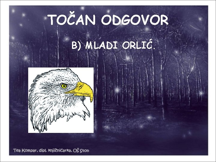 TOČAN ODGOVOR B) MLADI ORLIĆ. 