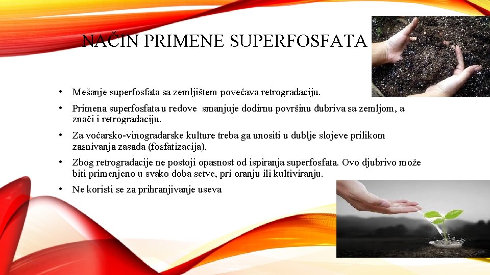 NAČIN PRIMENE SUPERFOSFATA • Mešanje superfosfata sa zemljištem povećava retrogradaciju. • Primena superfosfata u