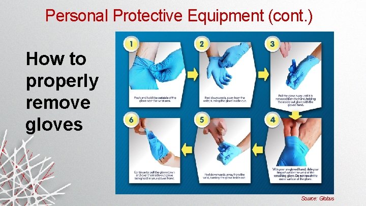 Personal Protective Equipment (cont. ) How to properly remove gloves Source: Globus Personal Protective Equipment (cont. ) How to properly remove gloves Source: Globus