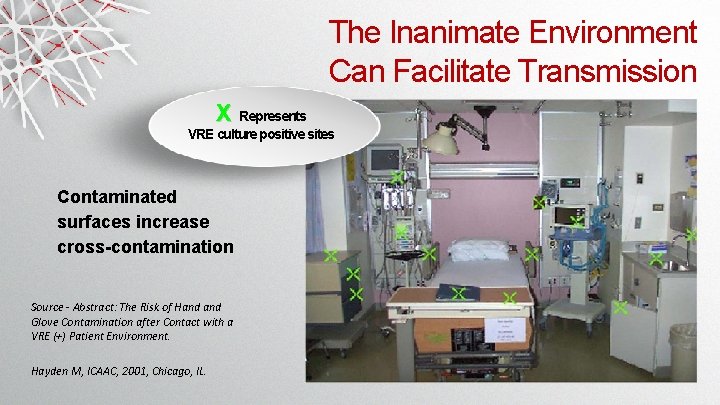 The Inanimate Environment Can Facilitate Transmission X Represents VRE culture positive sites Contaminated surfaces The Inanimate Environment Can Facilitate Transmission X Represents VRE culture positive sites Contaminated surfaces