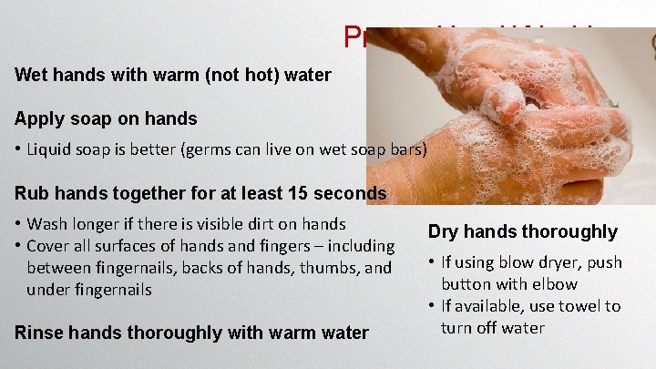 Proper Hand Washing Wet hands with warm (not hot) water Apply soap on hands Proper Hand Washing Wet hands with warm (not hot) water Apply soap on hands