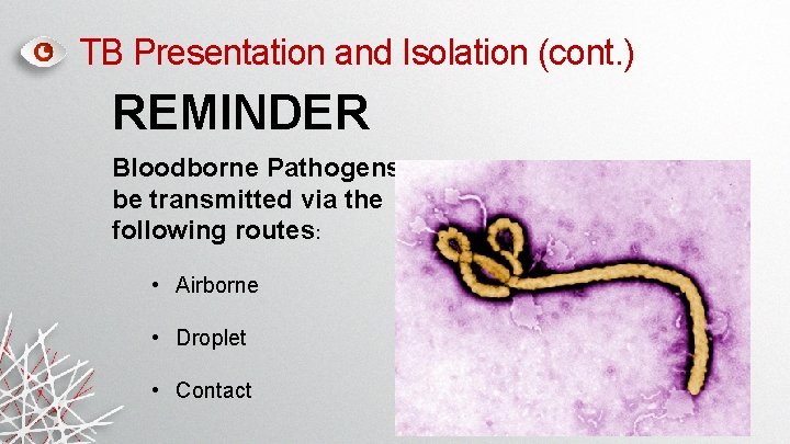 TB Presentation and Isolation (cont. ) REMINDER Bloodborne Pathogens can be transmitted via the TB Presentation and Isolation (cont. ) REMINDER Bloodborne Pathogens can be transmitted via the