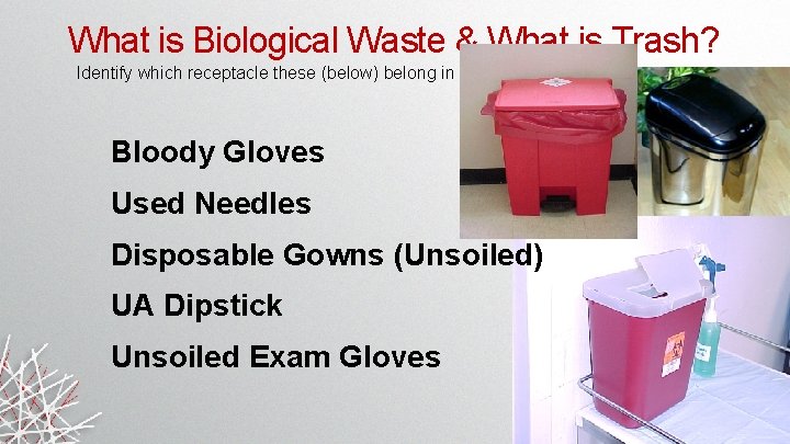 What is Biological Waste & What is Trash? Identify which receptacle these (below) belong What is Biological Waste & What is Trash? Identify which receptacle these (below) belong