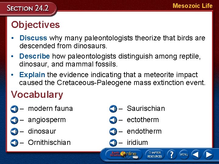 Mesozoic Life Objectives • Discuss why many paleontologists theorize that birds are descended from