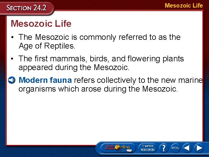 Mesozoic Life • The Mesozoic is commonly referred to as the Age of Reptiles.