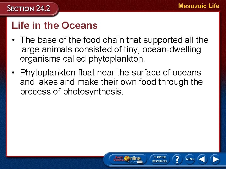 Mesozoic Life in the Oceans • The base of the food chain that supported