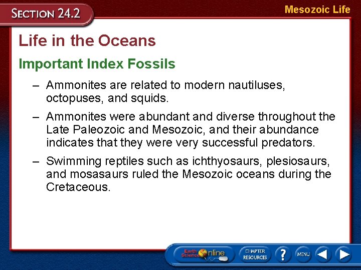 Mesozoic Life in the Oceans Important Index Fossils – Ammonites are related to modern
