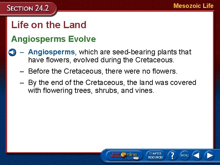 Mesozoic Life on the Land Angiosperms Evolve – Angiosperms, which are seed-bearing plants that