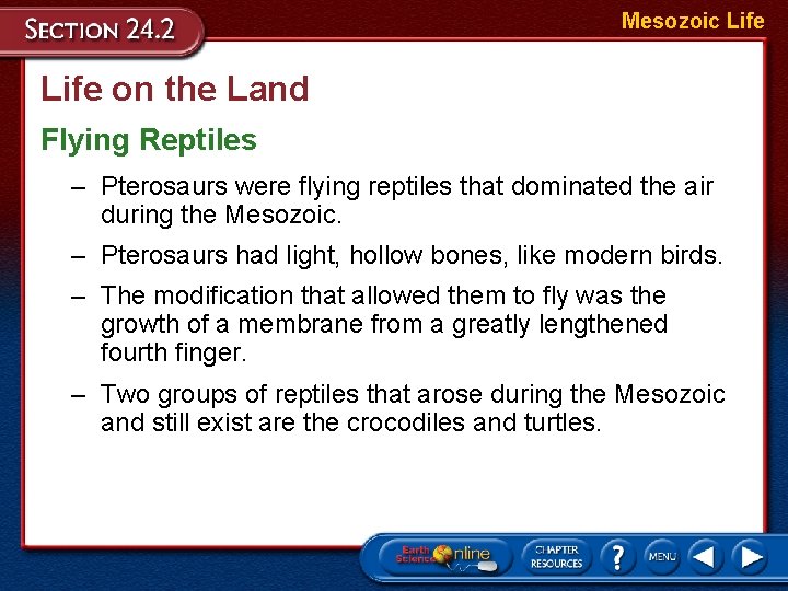 Mesozoic Life on the Land Flying Reptiles – Pterosaurs were flying reptiles that dominated