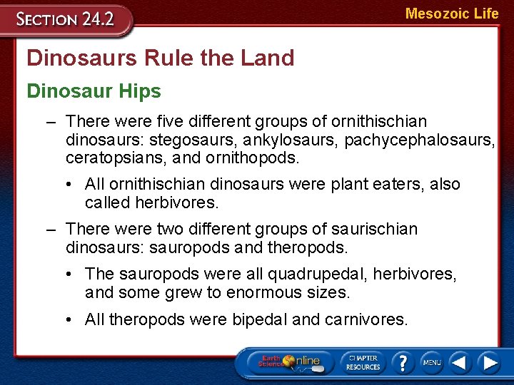 Mesozoic Life Dinosaurs Rule the Land Dinosaur Hips – There were five different groups