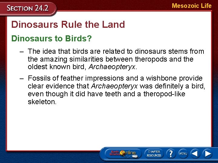 Mesozoic Life Dinosaurs Rule the Land Dinosaurs to Birds? – The idea that birds