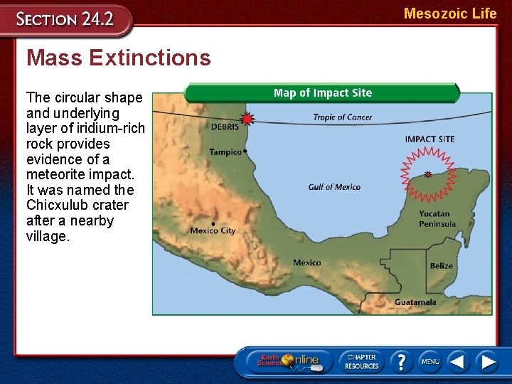 Mesozoic Life Mass Extinctions The circular shape and underlying layer of iridium-rich rock provides