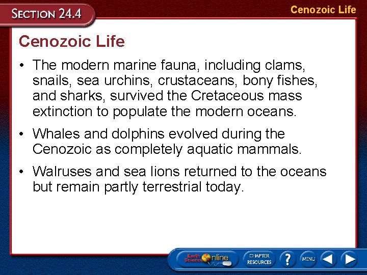 Cenozoic Life • The modern marine fauna, including clams, snails, sea urchins, crustaceans, bony
