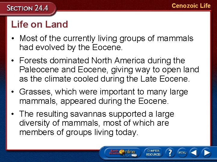 Cenozoic Life on Land • Most of the currently living groups of mammals had