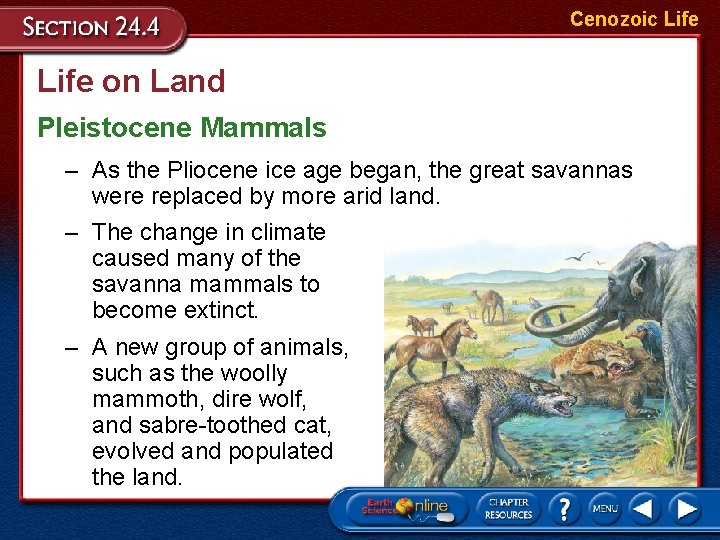 Cenozoic Life on Land Pleistocene Mammals – As the Pliocene ice age began, the