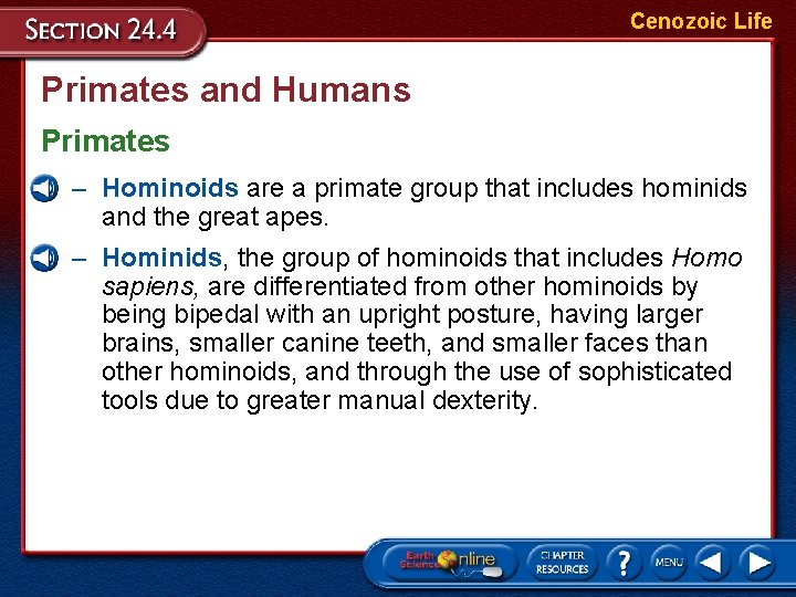 Cenozoic Life Primates and Humans Primates – Hominoids are a primate group that includes