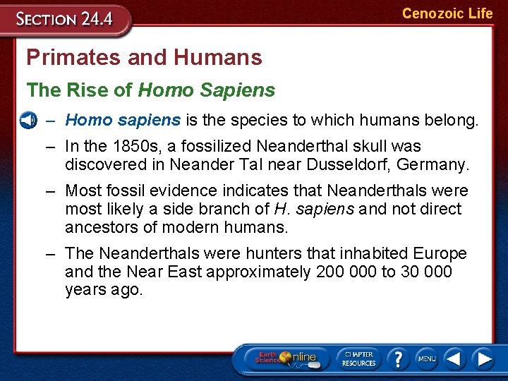 Cenozoic Life Primates and Humans The Rise of Homo Sapiens – Homo sapiens is