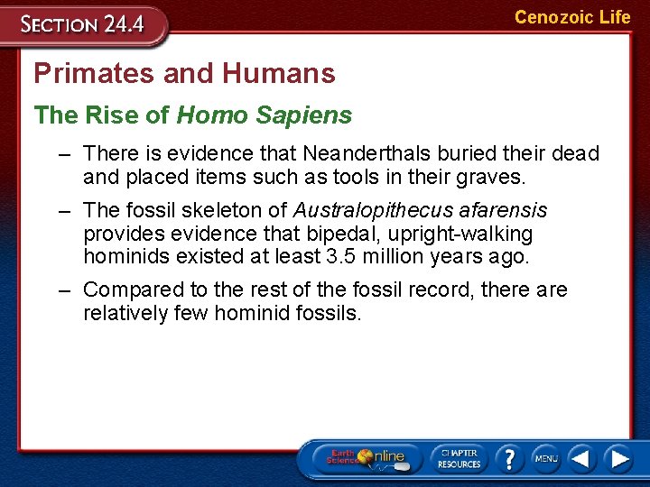 Cenozoic Life Primates and Humans The Rise of Homo Sapiens – There is evidence