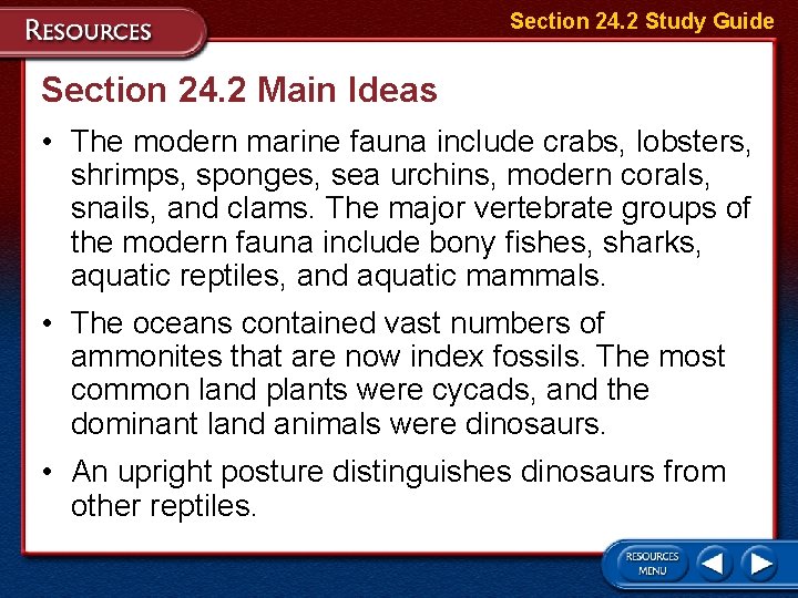 Section 24. 2 Study Guide Section 24. 2 Main Ideas • The modern marine