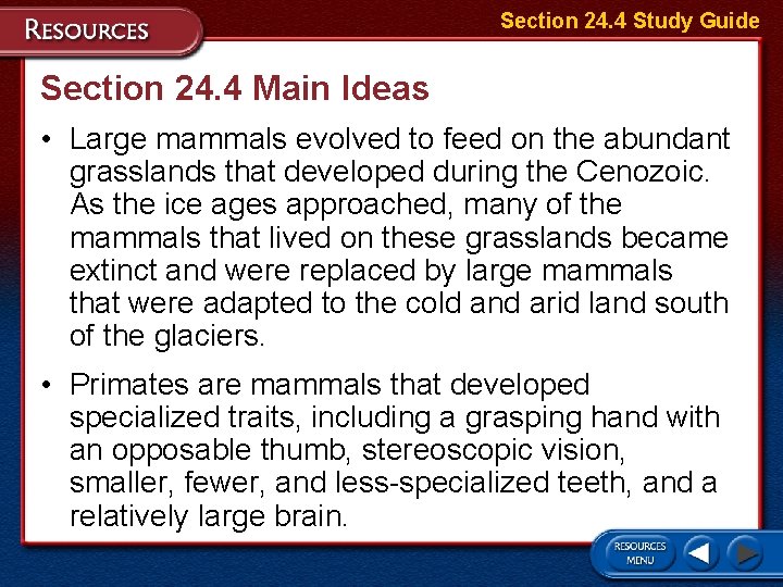 Section 24. 4 Study Guide Section 24. 4 Main Ideas • Large mammals evolved