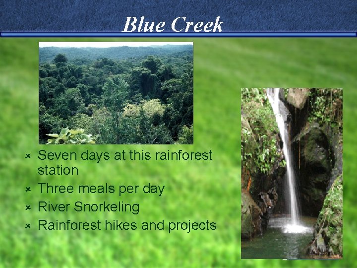 Blue Creek Seven days at this rainforest station û Three meals per day û