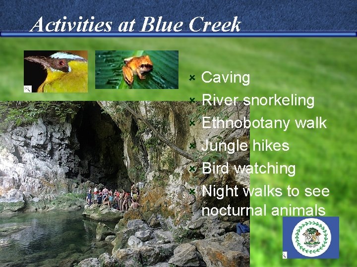 Activities at Blue Creek û û û Caving River snorkeling Ethnobotany walk Jungle hikes