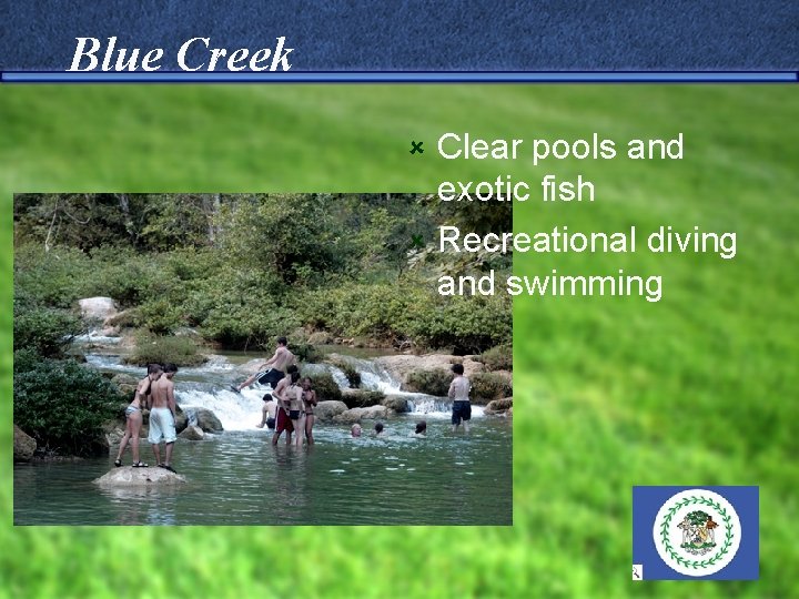Blue Creek Clear pools and exotic fish û Recreational diving and swimming û 