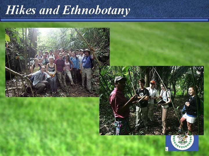 Hikes and Ethnobotany 