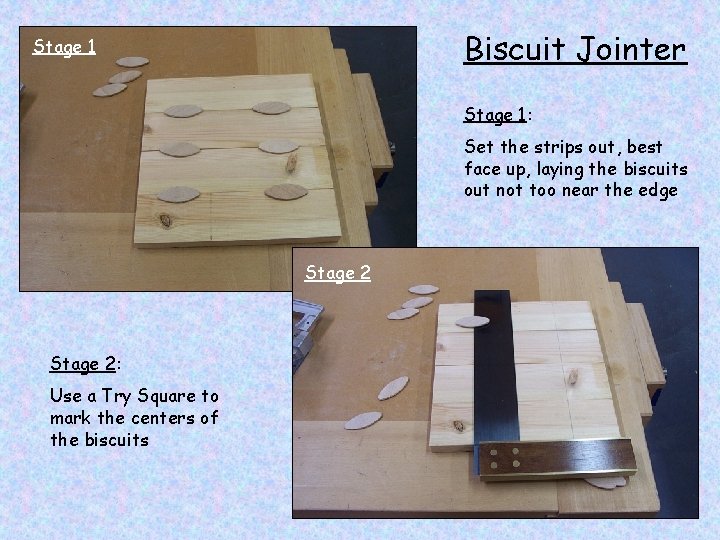 Biscuit Jointer Stage 1: Set the strips out, best face up, laying the biscuits