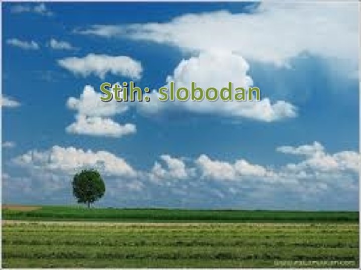 Stih: slobodan 