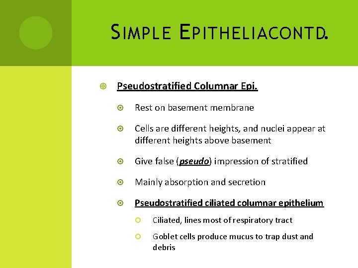 S IMPLE E PITHELIA CONTD. Pseudostratified Columnar Epi. Rest on basement membrane Cells are