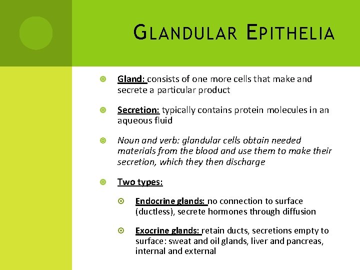 G LANDULAR E PITHELIA Gland: consists of one more cells that make and secrete
