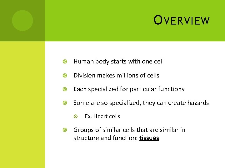 O VERVIEW Human body starts with one cell Division makes millions of cells Each