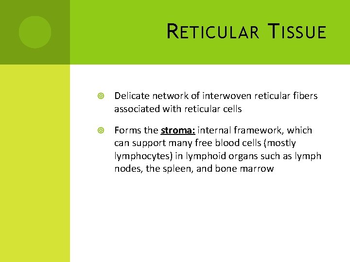 R ETICULAR T ISSUE Delicate network of interwoven reticular fibers associated with reticular cells