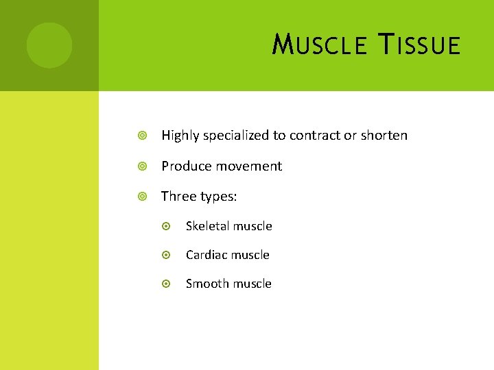 M USCLE T ISSUE Highly specialized to contract or shorten Produce movement Three types: