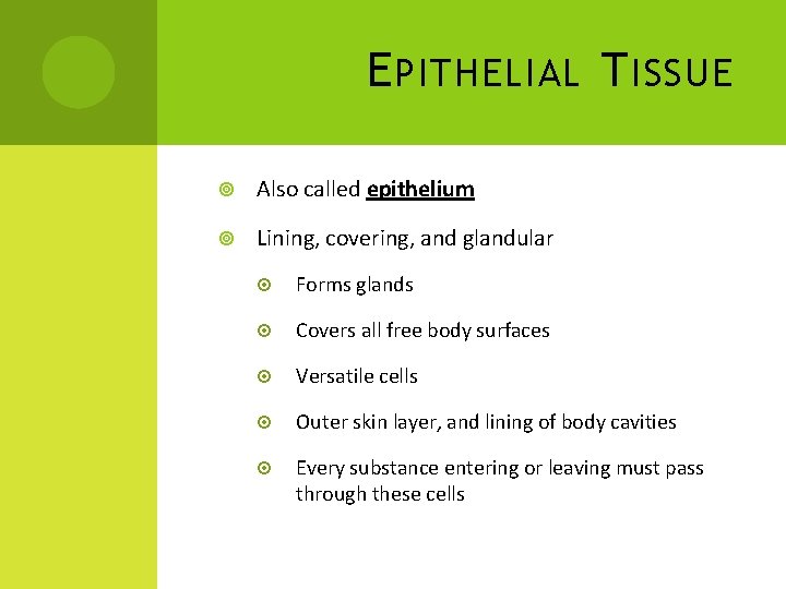 E PITHELIAL T ISSUE Also called epithelium Lining, covering, and glandular Forms glands Covers