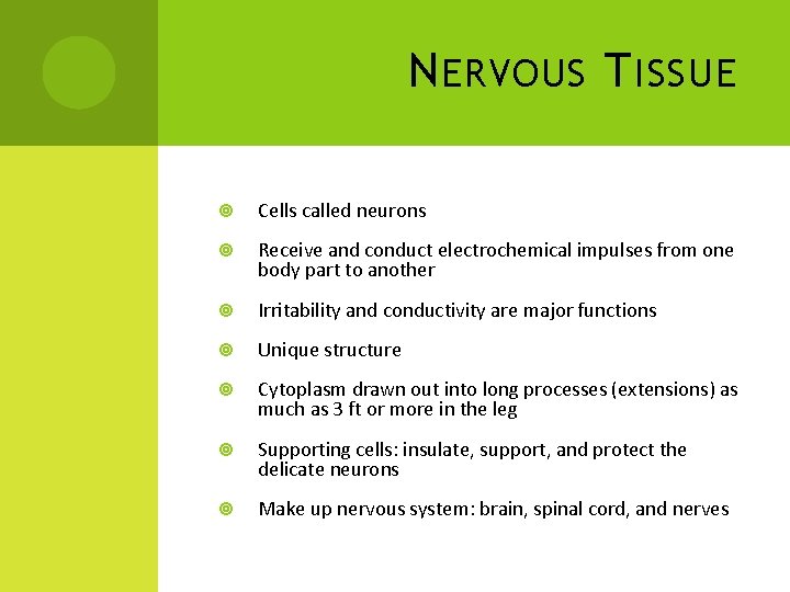 N ERVOUS T ISSUE Cells called neurons Receive and conduct electrochemical impulses from one