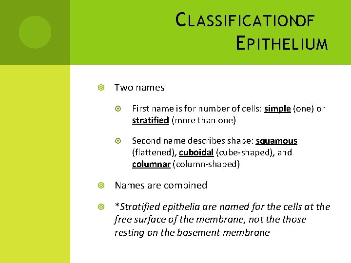 C LASSIFICATIONOF E PITHELIUM Two names First name is for number of cells: simple