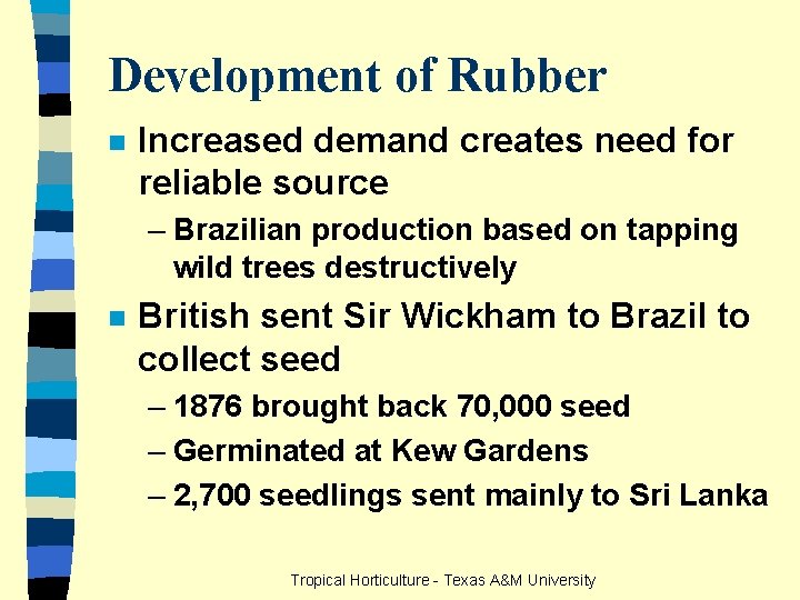 Development of Rubber n Increased demand creates need for reliable source – Brazilian production